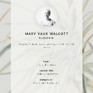 Vintage poszter Divoký ananas