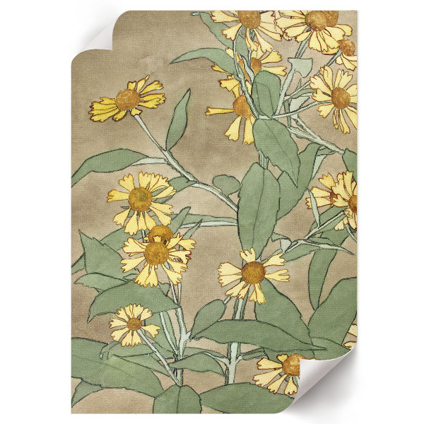 Retro poszter Sedmikrásky