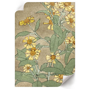 Retro poszter Sedmikrásky