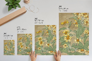 Retro poszter Sedmikrásky