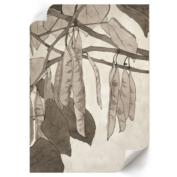 Poszter kép Červený červ