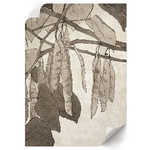 Poszter kép Červený červ