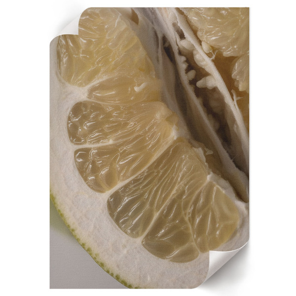 Poszter kép Citrusové plody