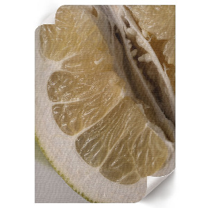 Poszter kép Citrusové plody