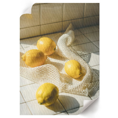Vintage poszter Citrony v síti
