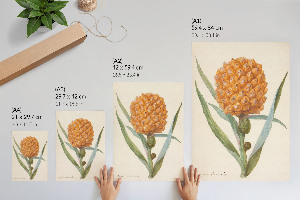 Poszter kép Bromelie ananasová