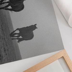 Plakát Koně na útěku