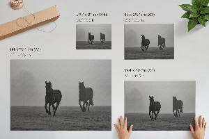 Plakát Koně na útěku