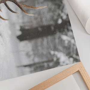 Plakát Parohy ve sněhu