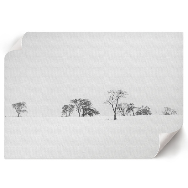 Fali poszter Stromy v zimě