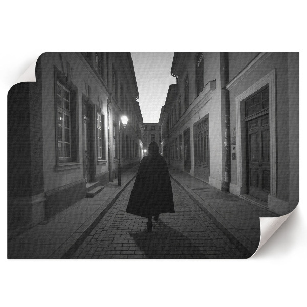 Poszter Černobílý pohled