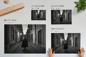 Poszter Černobílý pohled