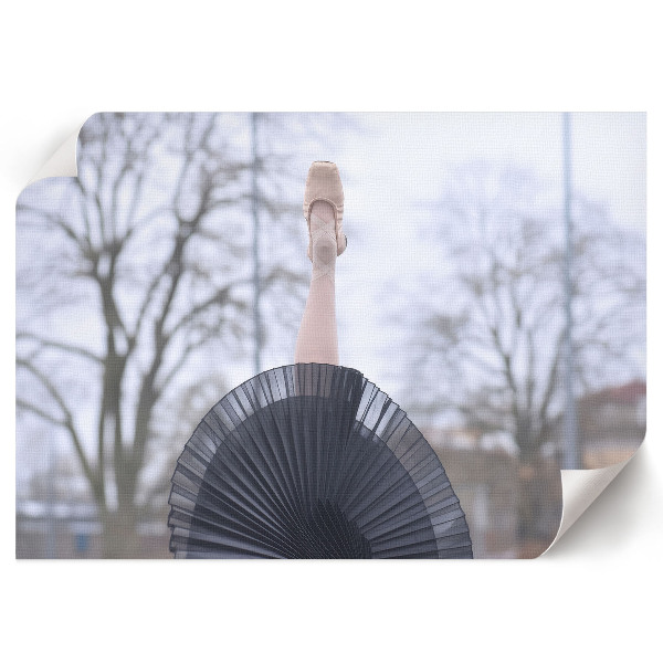 Fali poszter Elegantní balet