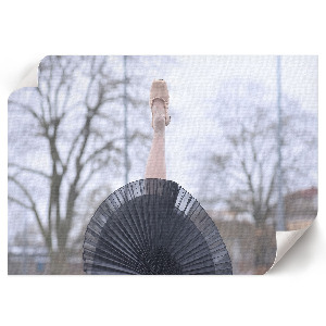 Fali poszter Elegantní balet