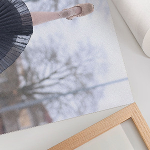 Fali poszter Elegantní balet