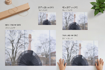 Fali poszter: Elegáns balett