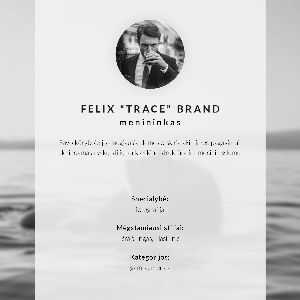 Poszter nyomtatás Sova za letu