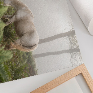 Poszter nyomtatás Kůň v lese