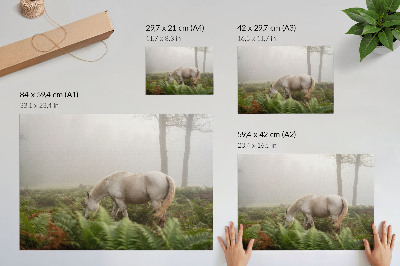 Poszter nyomtatás: Kůň v lese
