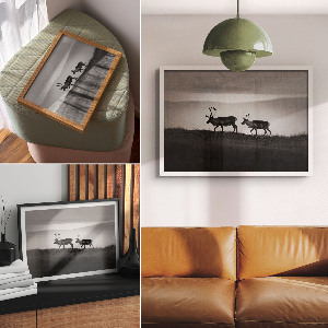 Poszter nyomtatás Sobí příroda