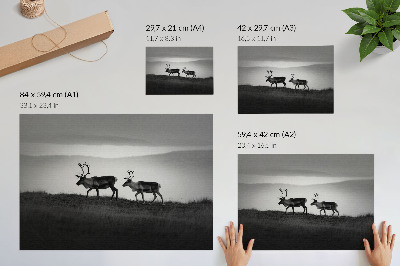 Poszternyomtatás: Sobí příroda