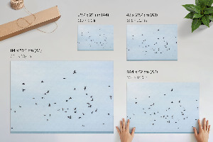 Fali poszter Ptáci za letu