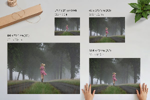 Poszter nyomtatás Běh lesem