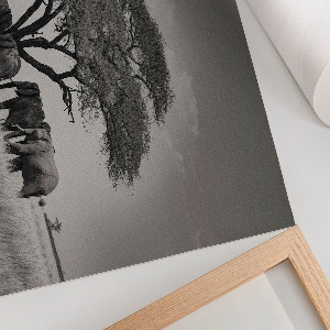 Poszter Africká savana