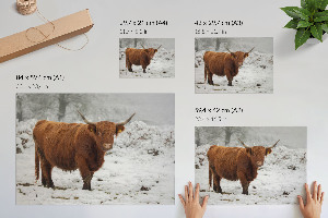 Plakát Zimní scéna