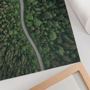 Fali poszter Lesní cesta