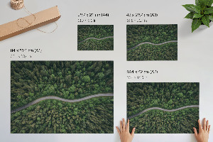 Fali poszter Lesní cesta