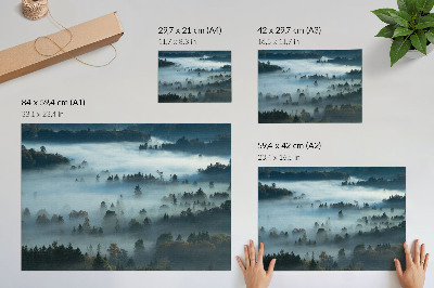 Plakát „Mlžná příroda”