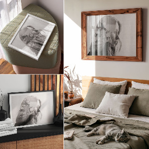 Plakát Stromová tvář