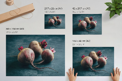 Poszter nyomtatás — Sladká řepa