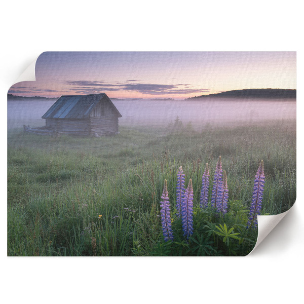 Fali poszter Mlžné ráno