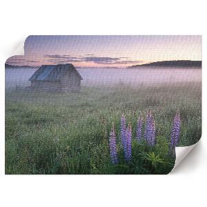 Fali poszter Mlžné ráno