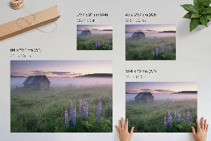 Fali poszter Mlžné ráno