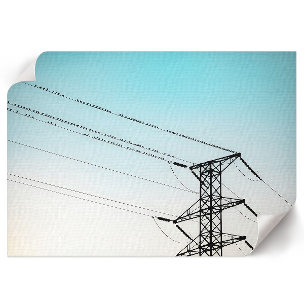 Poszter Ptáci na drátech