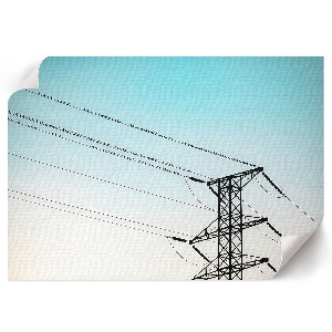 Poszter Ptáci na drátech