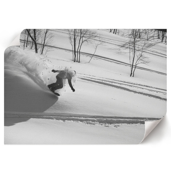 Fali poszter Bílé dobrodružství