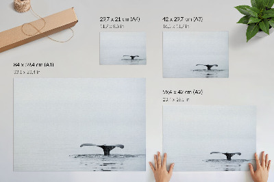 Plakát „Oceánský klid”