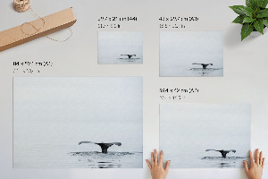 Plakát Oceánský klid