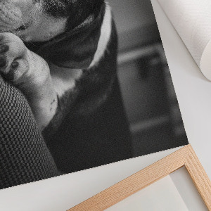 Poszter nyomtatás Spící pes