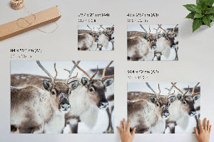 Fali poszter Sob v zimě