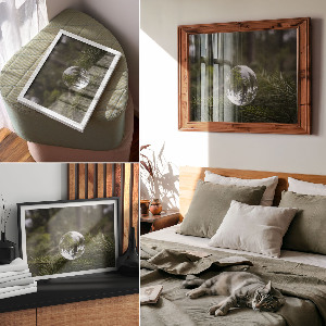 Fali poszter Odraz borovice