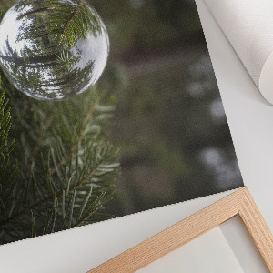 Fali poszter Odraz borovice