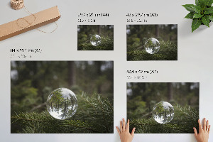 Fali poszter Odraz borovice