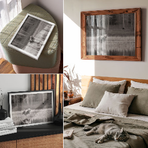 Poszter Lesní scéna