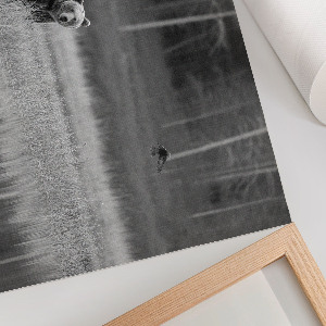 Poszter Lesní scéna