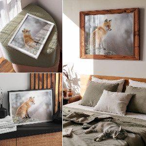 Poszter nyomtatás Liška obecná